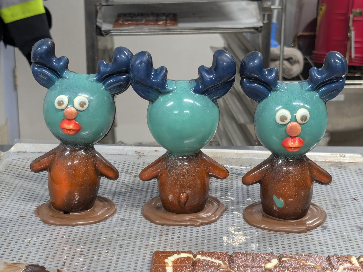 Reindeer