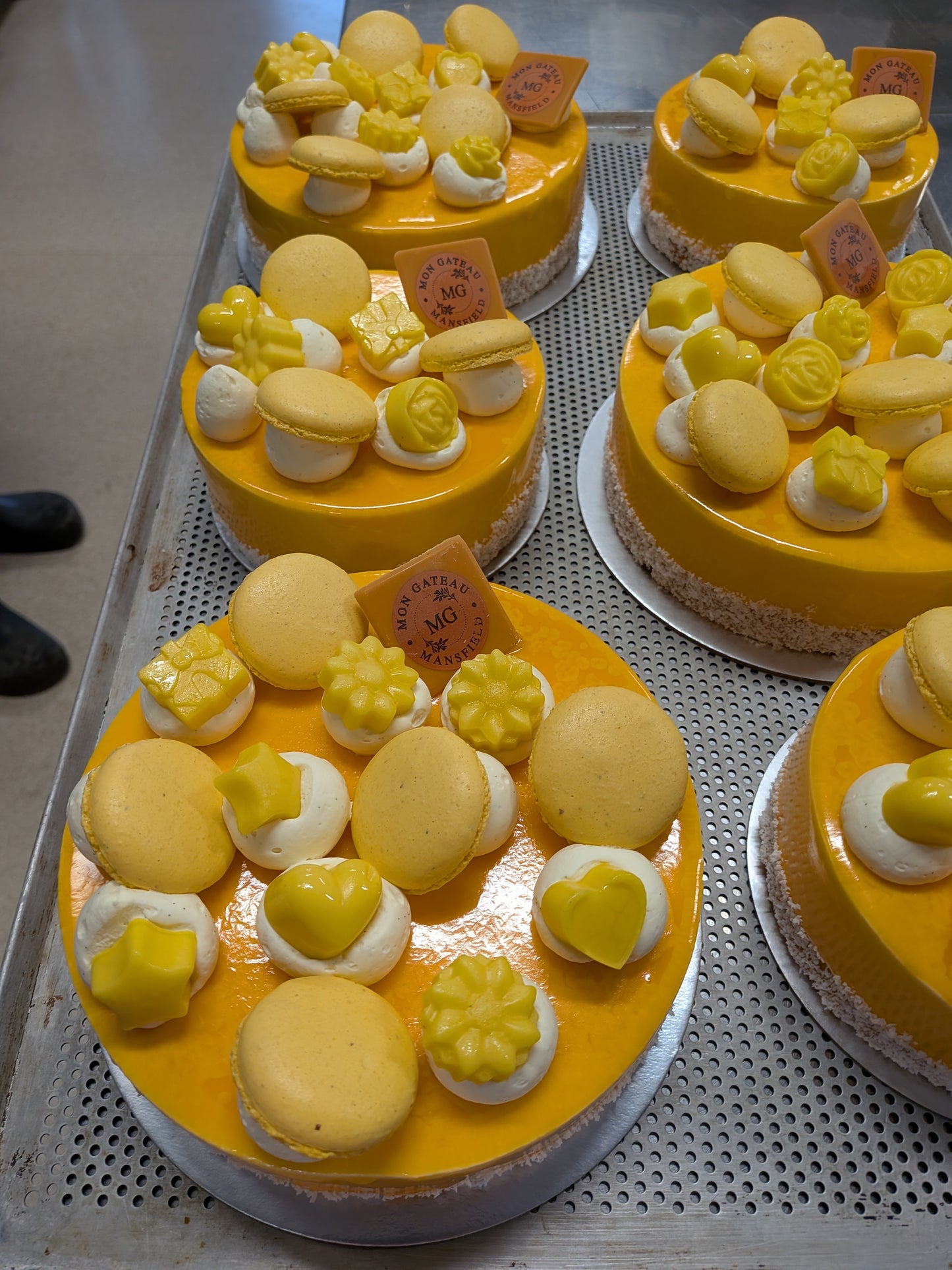 Jasmin Mandarin Cheesecake