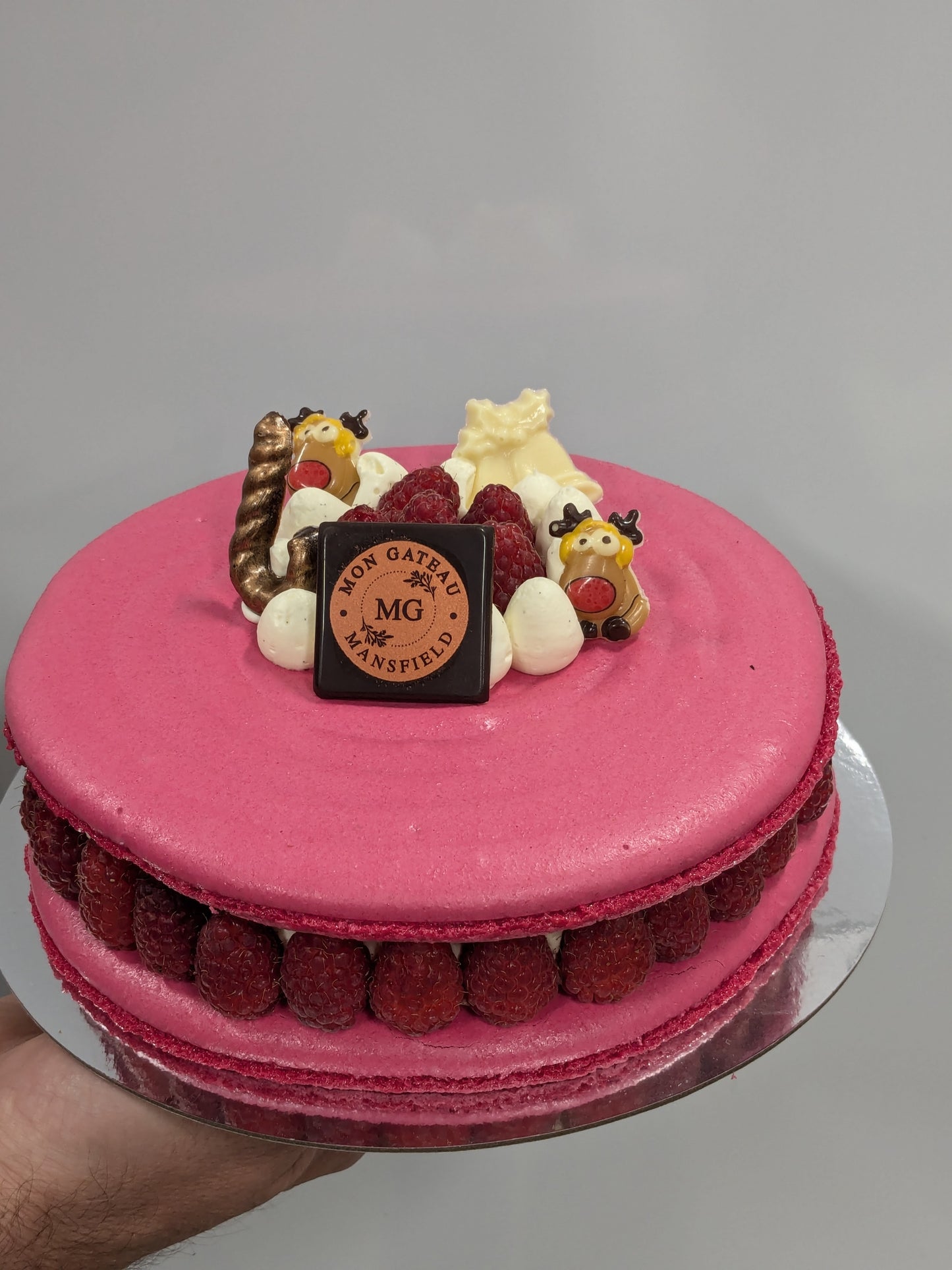 Large Macaron Cake