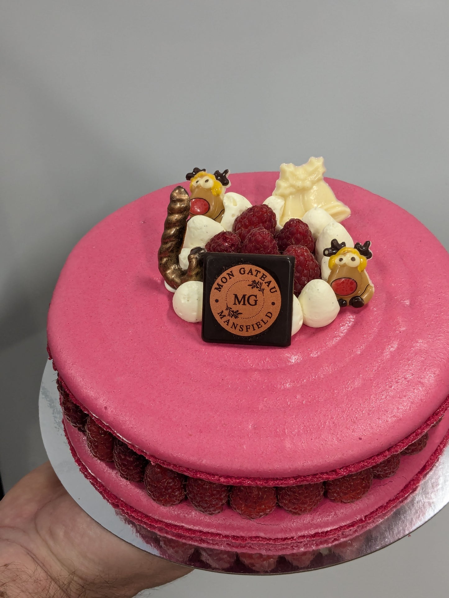 Large Macaron Cake