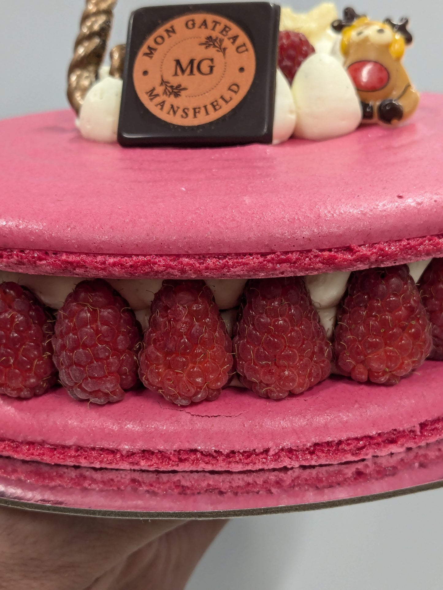 Large Macaron Cake