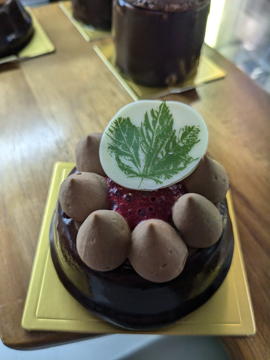Chocolate and Raspberry