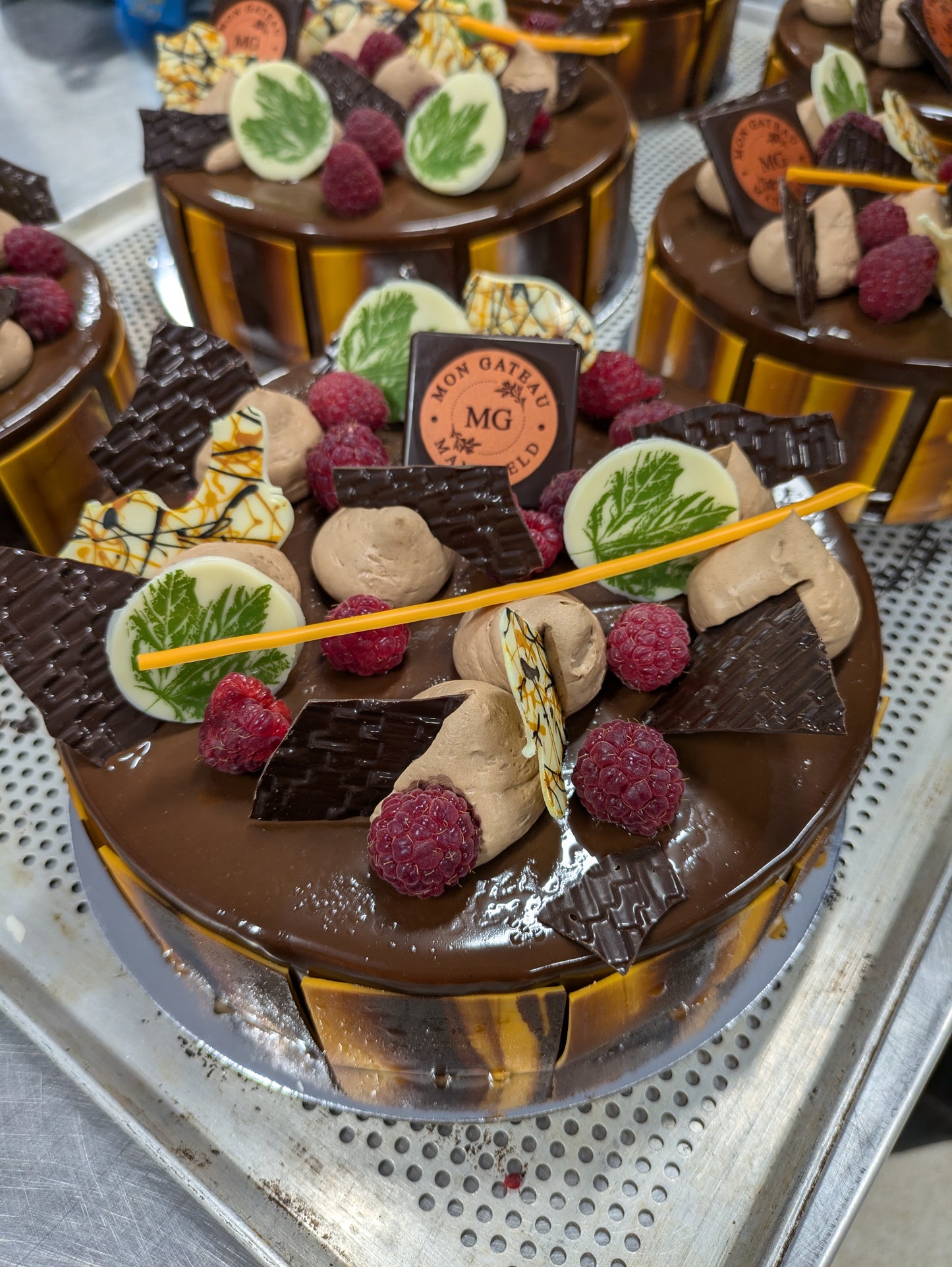 Chocolate and Raspberry Mousse Cake
